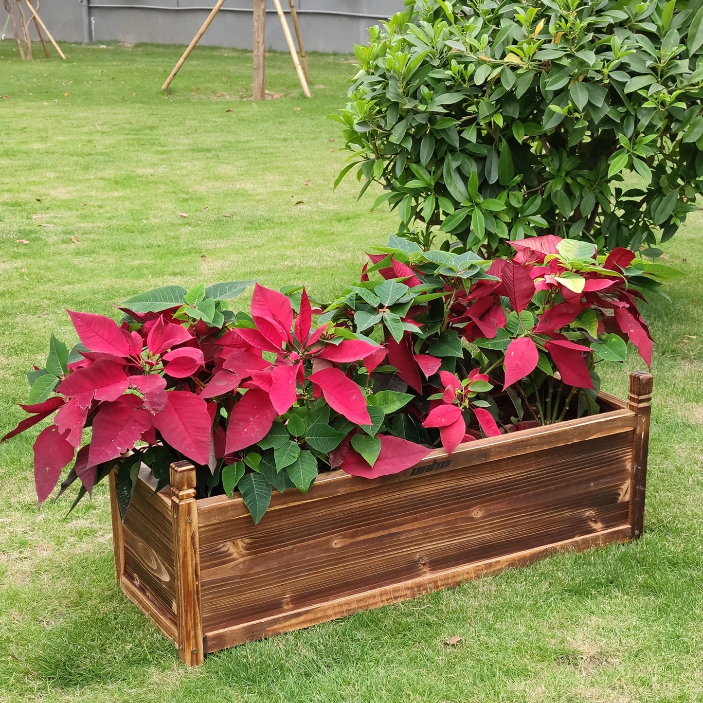 Raised Garden Bed